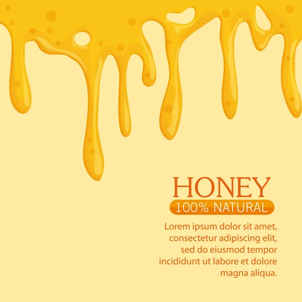 Diseño de alimentos saludables y orgánicos para la miel — Archivo Imágenes Vectoriales