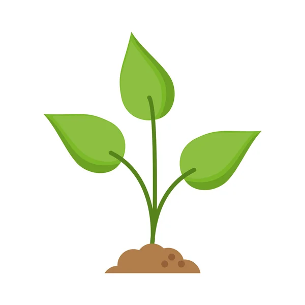 Elszigetelt levelek és a természet növényi design — Stock Vector