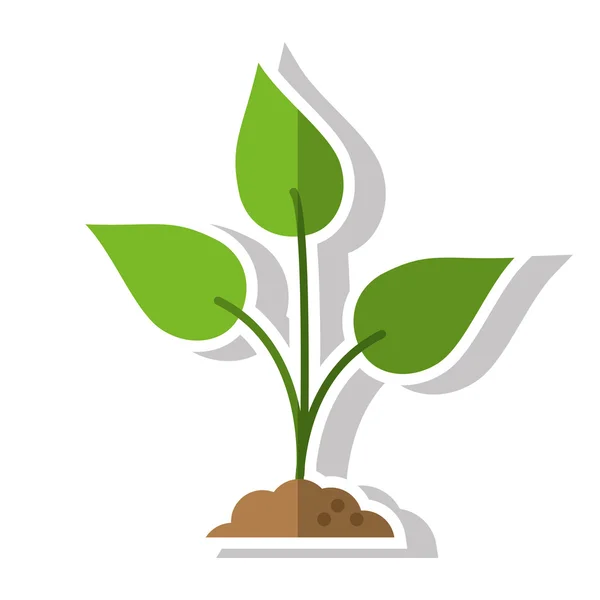 격리 된 잎 및 자연 식물 디자인 — 스톡 벡터