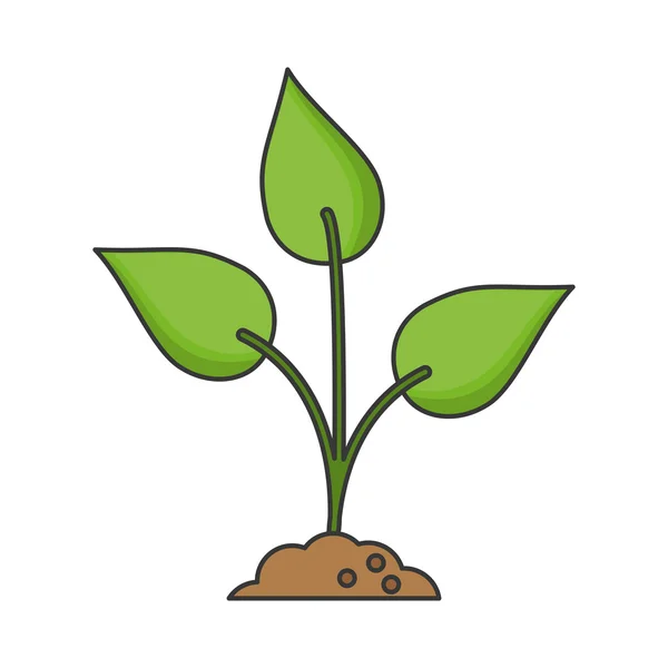 孤立した葉と自然植物デザイン — ストックベクタ
