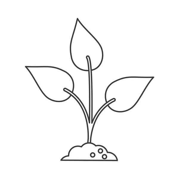 离体的叶片和自然植物设计 — 图库矢量图片