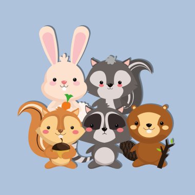 Rakun ve kunduz görüntü şirin kokarca tavşan sincap