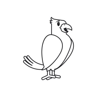 İzole kuş evde beslenen hayvan tasarım