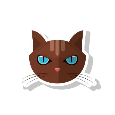 Evde beslenen hayvan izole kedi tasarım