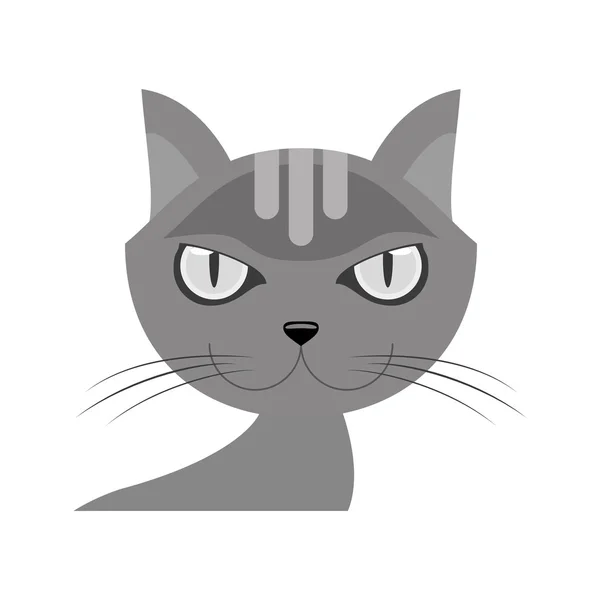 Diseño de mascota gato aislado — Vector de stock
