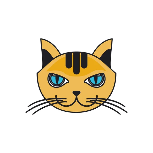 Diseño de mascota gato aislado — Vector de stock