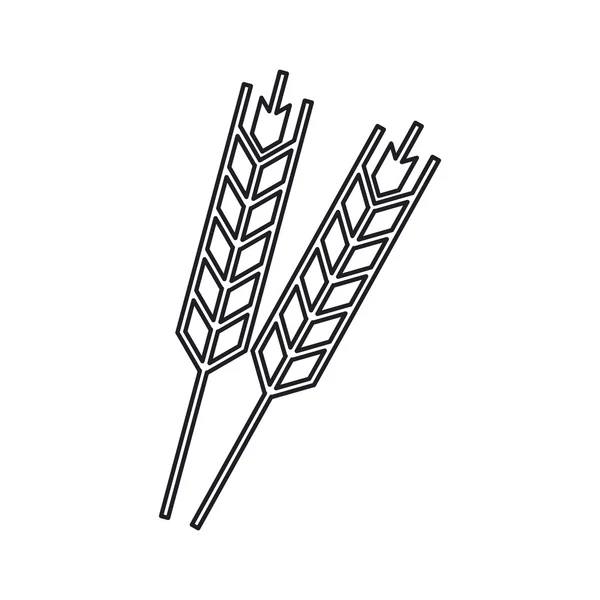 Design isolato della spiga di grano — Vettoriale Stock