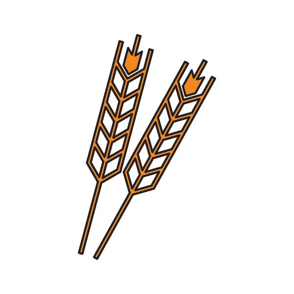 Isolierte Weizenährenkonstruktion — Stockvektor