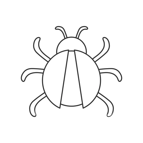 Diseño aislado de insectos insecto — Archivo Imágenes Vectoriales