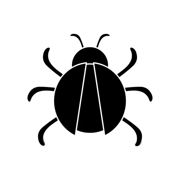 Elszigetelt bug rovar design — Stock Vector