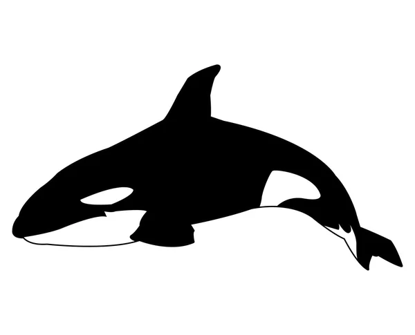 흑인과 백인 고래 디자인 — 스톡 벡터