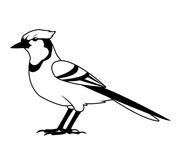 Projeto de pássaro preto e branco — Vetor de Stock