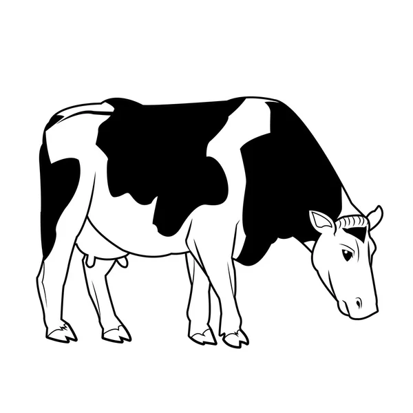 Black and white cow design — Stock Vector