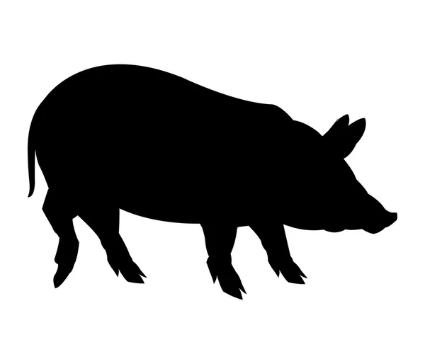 Чорно-білий дизайн свині — стоковий вектор