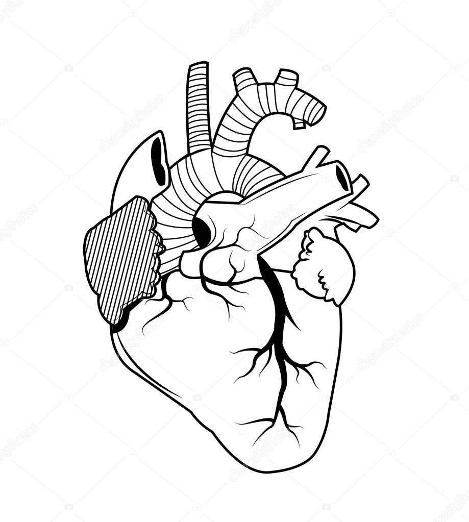 Drawings Heart Tattoo Heart Tattoo Art Design Stock