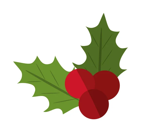 A karácsonyi szezonban design bogyó elszigetelt levelek — Stock Vector