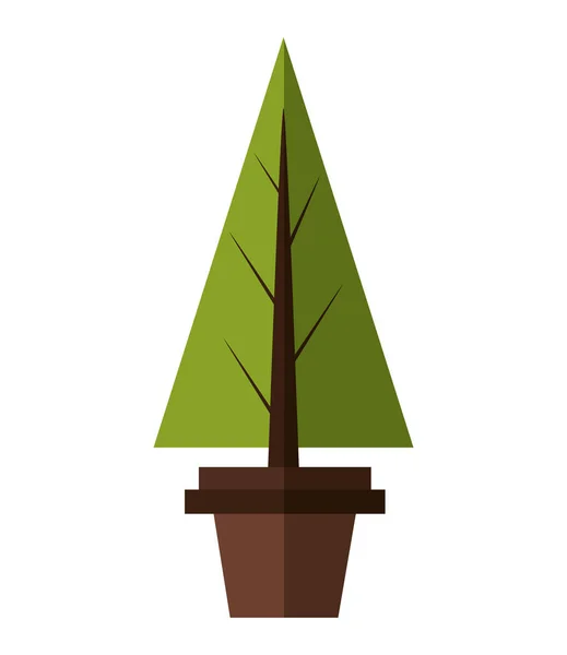 Isolated pine tree of Christmas season design — Stock Vector
