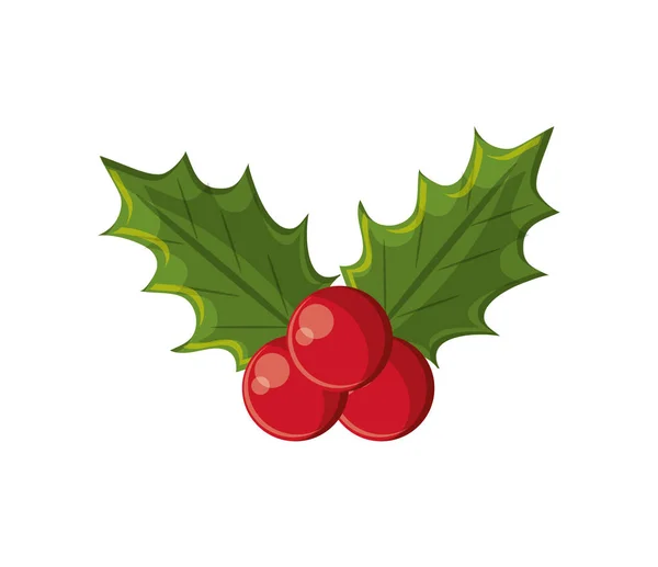 A karácsonyi szezonban design bogyó elszigetelt levelek — Stock Vector