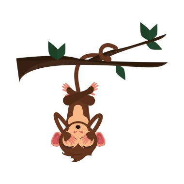 İzole maymun karikatür tasarım
