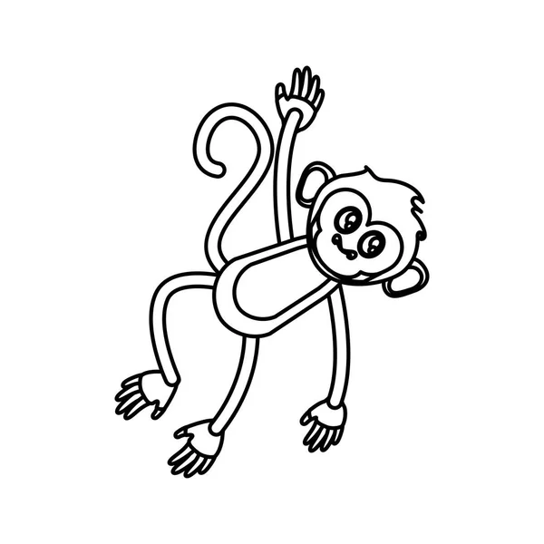 Projeto de desenho animado de macaco isolado —  Vetores de Stock