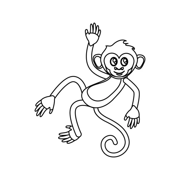 Projeto de desenho animado de macaco isolado —  Vetores de Stock