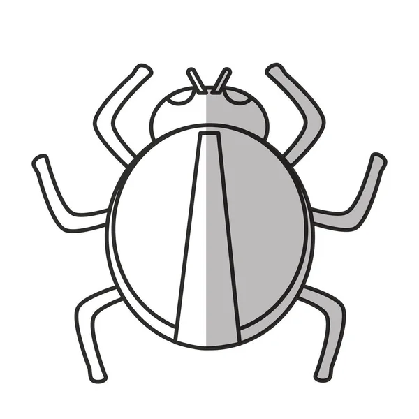 Design de bugs isolado — Vetor de Stock