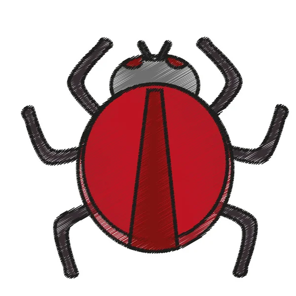 Isolated bug design — Stock Vector