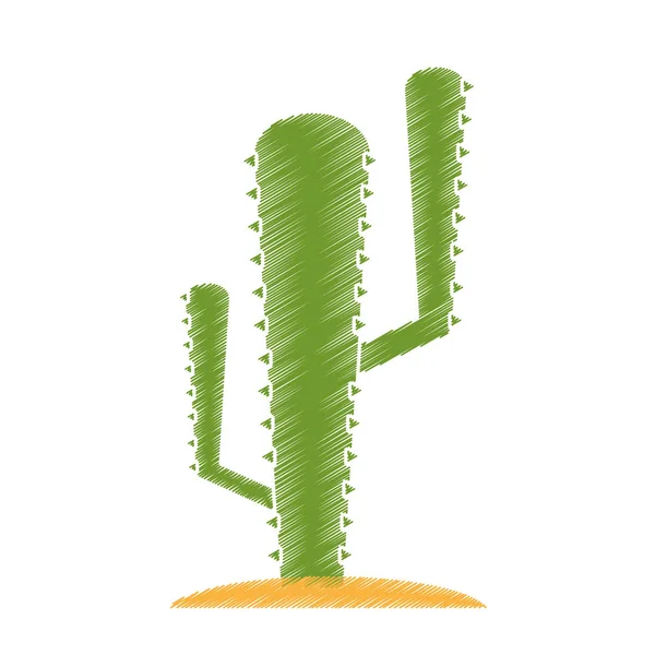Diseño de planta de cactus aislado — Vector de stock
