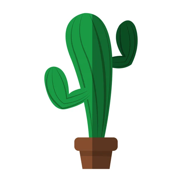 Design isolato del cactus — Vettoriale Stock