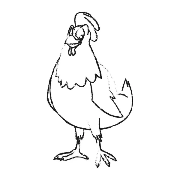 İzole tavuk karikatür tasarım — Stok Vektör