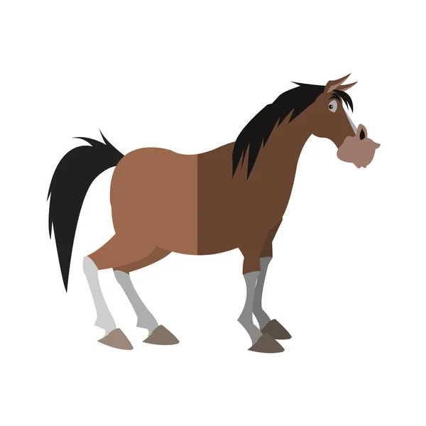 Design de desenhos animados de cavalo isolado —  Vetores de Stock