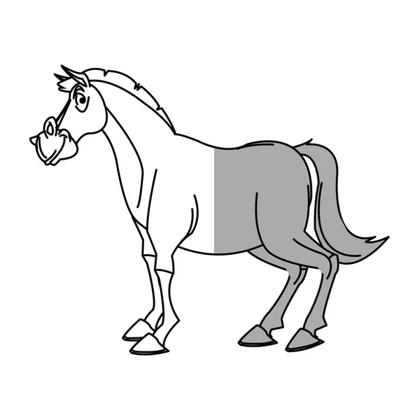 Diseño de dibujos animados de caballos aislados — Vector de stock