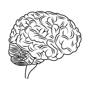 İzole beyin tasarım