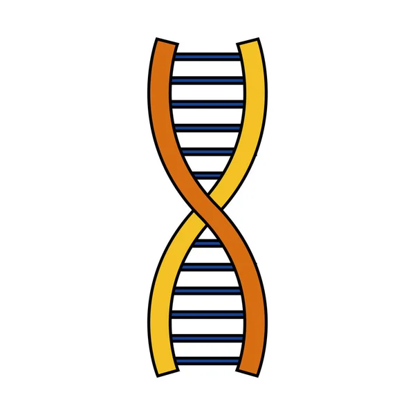 Isolated dna design — Stock Vector