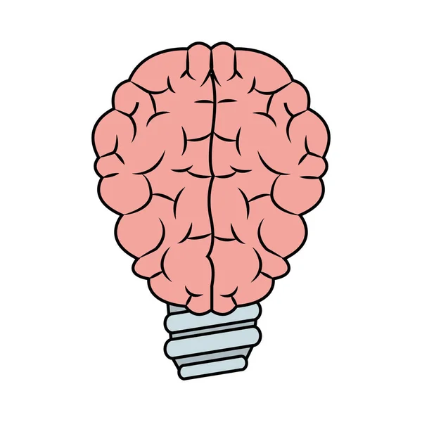 Isolated brain and bulb design — Stock Vector