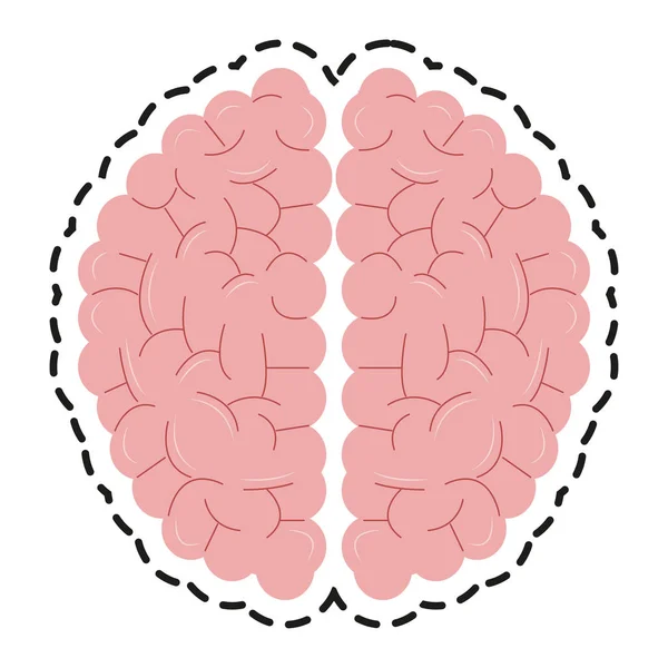 Isolierte Gehirngestaltung — Stockvektor