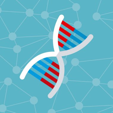 DNA molekül yapısı genetik