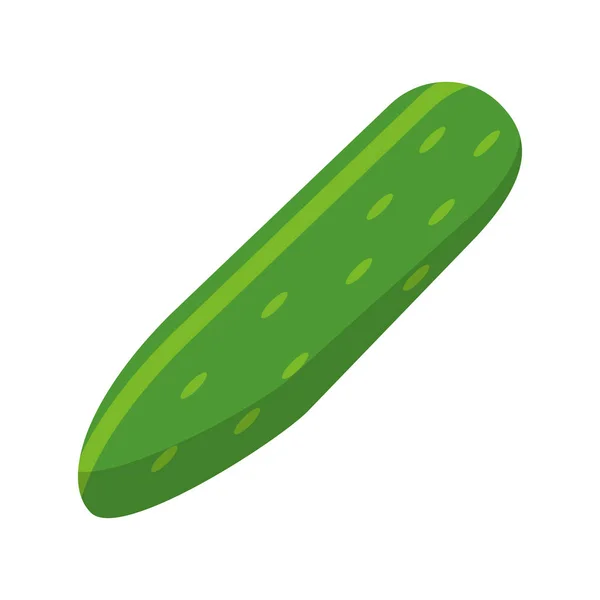 Concombre légume saine icône de nutrition — Image vectorielle