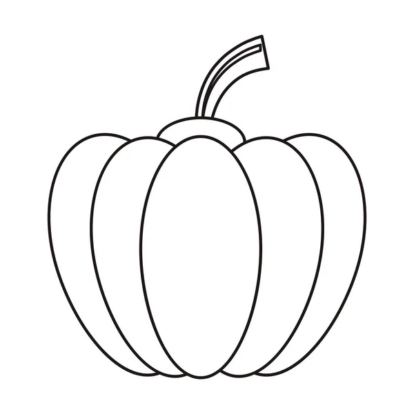 Контур тыквы урожая горько-сладких овощных икон — стоковый вектор