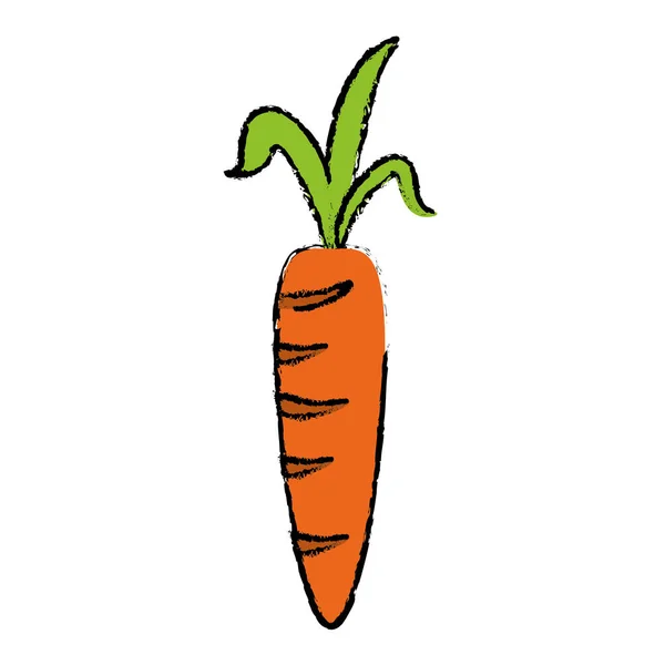 Dibujo de zanahoria fresca vegetal icono saludable — Vector de stock