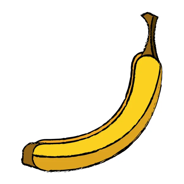 Plátano apetitoso fruta naturaleza dibujo — Vector de stock