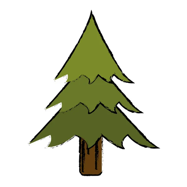 Rajz fenyő fa erdei kemping ikon — Stock Vector