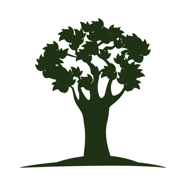 Natura Drzewo zielony — Wektor stockowy