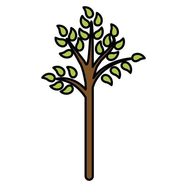 Naturaleza verde del árbol — Vector de stock