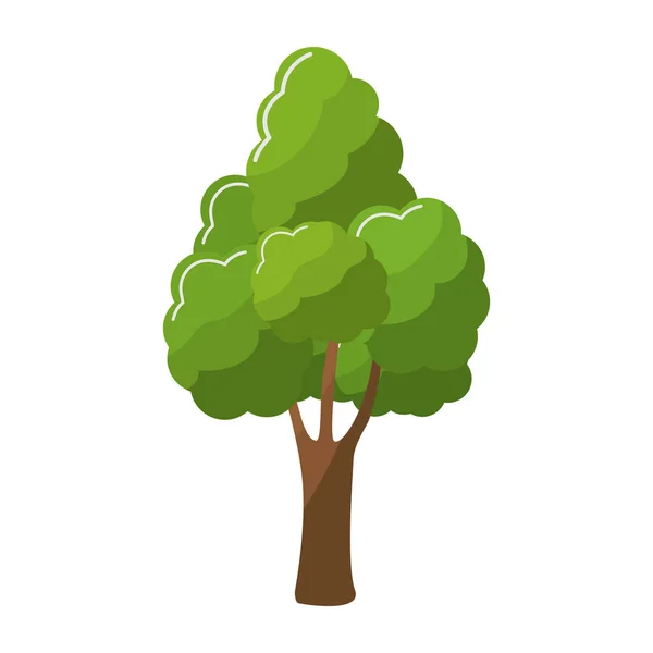 나무 녹색 자연 — 스톡 벡터