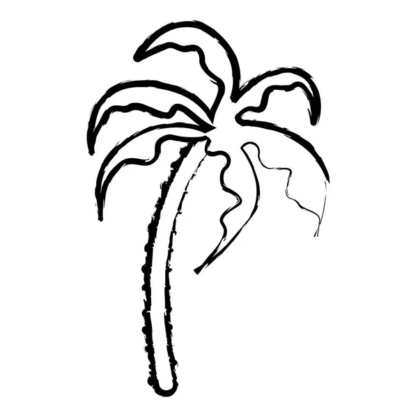 Palma isolata — Vettoriale Stock