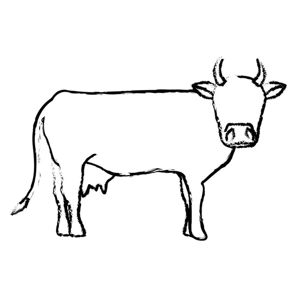 Tête de vache indienne — Image vectorielle