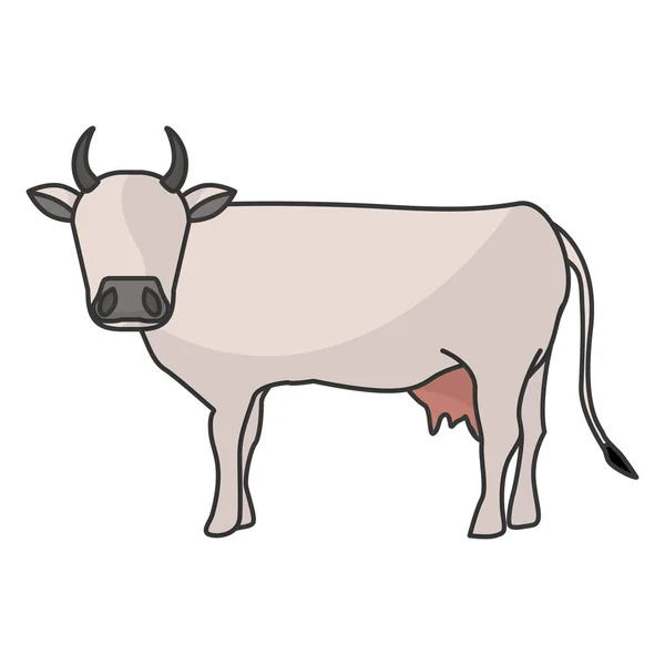 Indian brown cow — Stock Vector