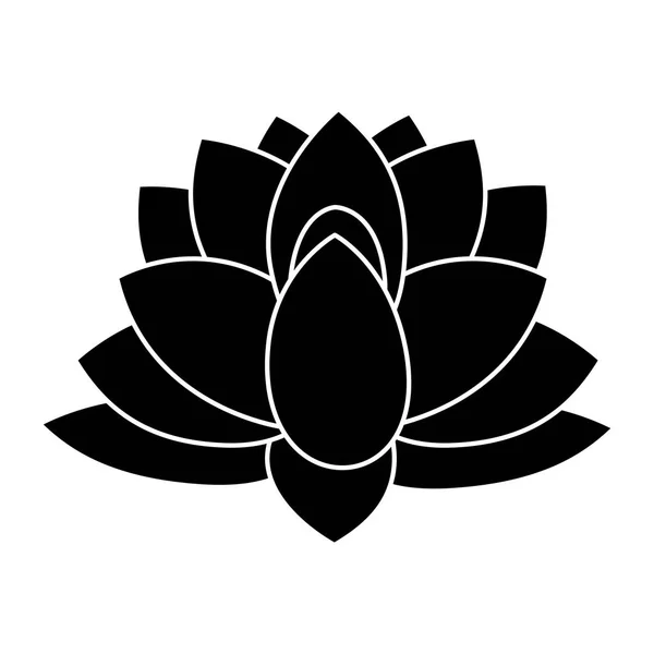 Indické Lotosový květ — Stockový vektor