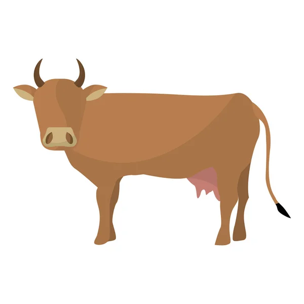 Indyjski brązowe krowy — Wektor stockowy